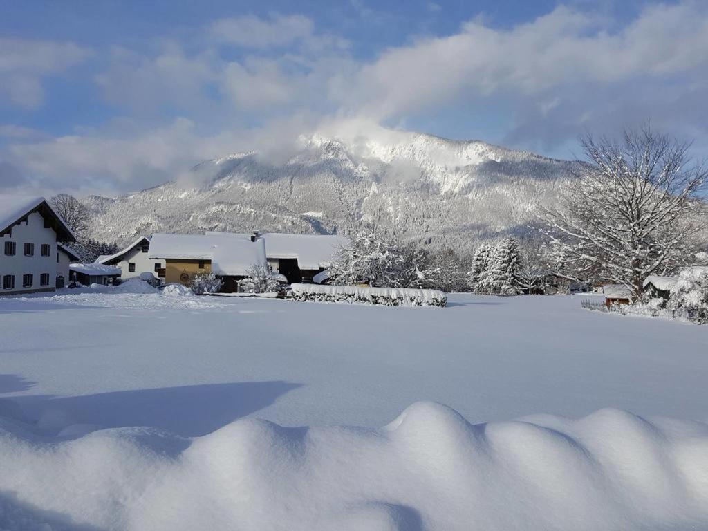 Chiemgauferienwohnungen - Wanderlust Und Alpenrose Унтервессен Екстер'єр фото